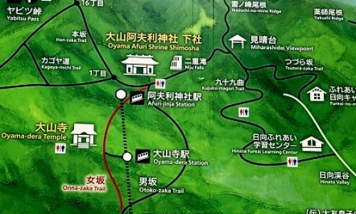 睾丸碎了有多疼-睾丸碎什么症状网 | 睾丸软组织损伤症状,睾丸曲张有什么症状