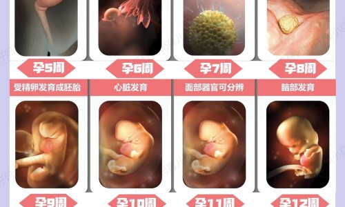 睾丸碎什么症状网 | 睾丸软组织损伤症状,睾丸曲张有什么症状
